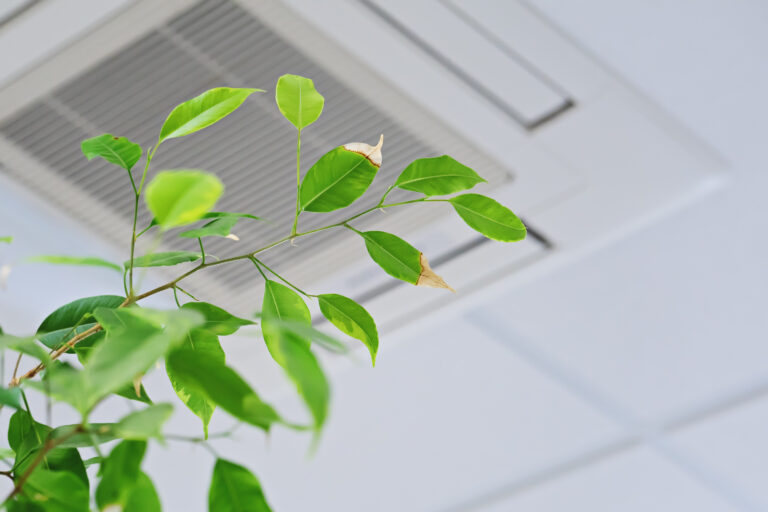 Air Temperature Professional tests indoor air quality